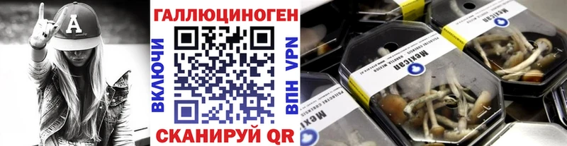 Галлюциногенные грибы Cubensis  Купить закладки  Богородицк 
